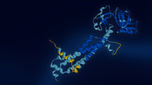 From AlphaFold2 to OpenFold to Protein Structure Prediction in 3DEXPERIENCE