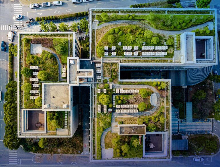 Businesses embrace green rooftops for energy efficiency and social