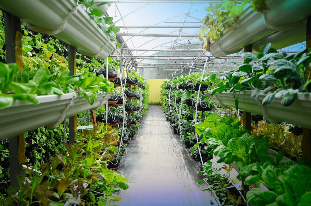 A greenhouse filled with plant varieties - farms in space - Dassault Systèmes blog 