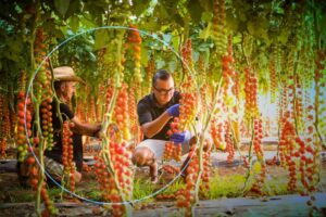 The 3 types of biodiversity with examples