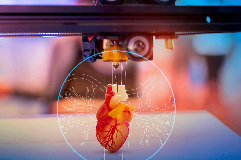 A virtual rendering of a heart - gender health equity gap - Dassault Systemes blog 